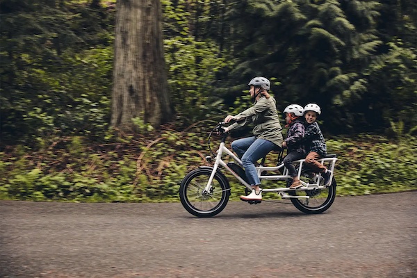 Biciclette da carico elettriche