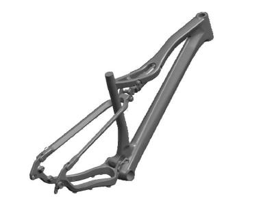 Mountain Bike Carbon Frame