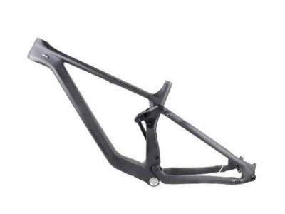 Mountain Bike Frame