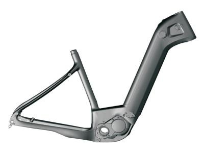 Full Carbon E-City Frame