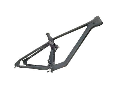 Mountain Bike Frame